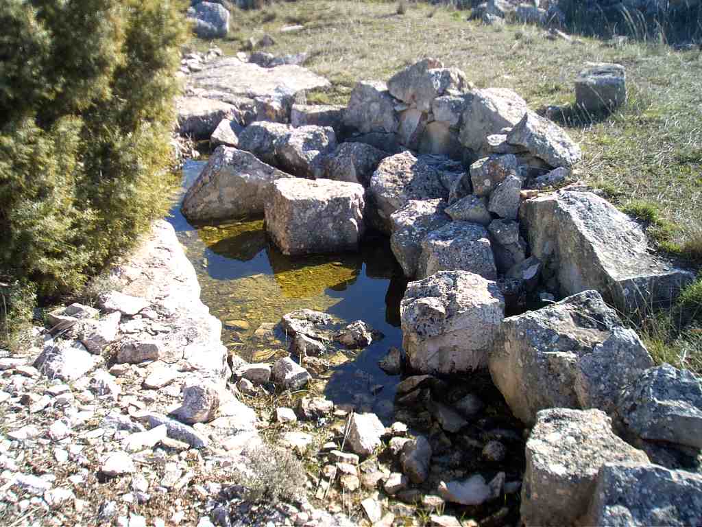 Charca Cerro la Cueva (1).JPG